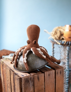 Graeme the Octopus 