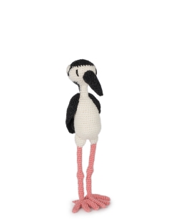 Chelsea the Black-Necked Stilt