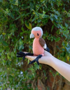 Ambrose the Chaffinch