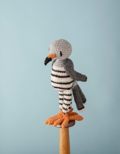 Quentin the Common Cuckoo 