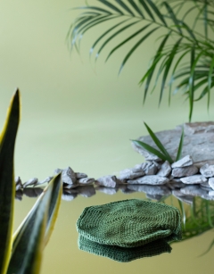 Lily Pad