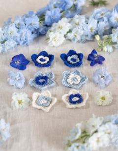 Delphinium