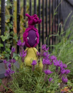French Lavender