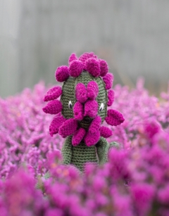 Heather
