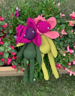 Fuchsia