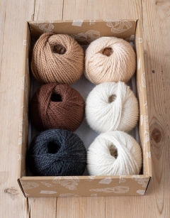 Croft Discovery Box