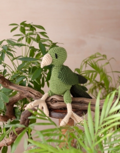 Mele the Pacific Parakeet