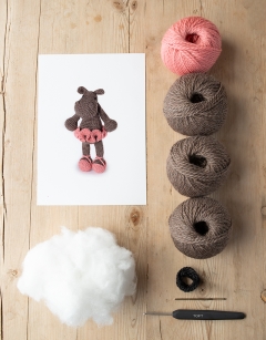 Georgina the Ballerina Hippo Kit