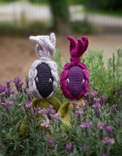 French Lavender