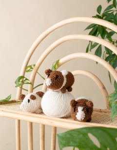 Mini Guinea Pigs Kit
