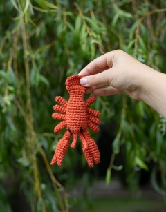 Mini Jordan the Lobster Kit