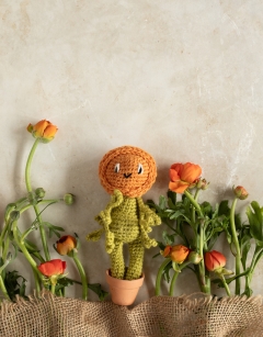 Mini Ranunculus Kit