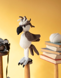 Struan the Osprey