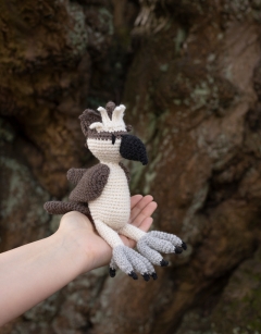 Struan the Osprey