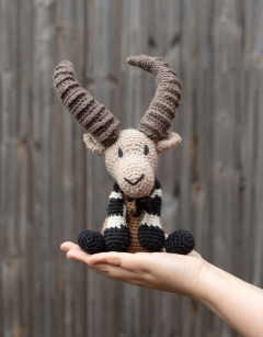 Amit the Nubian Ibex