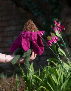 Echinacea