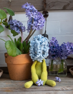 Hyacinth