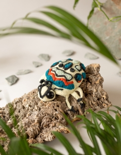 Johan the Picasso Bug