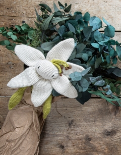 Lily