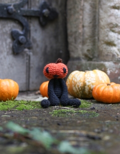 Mini Jack o Lantern Kit