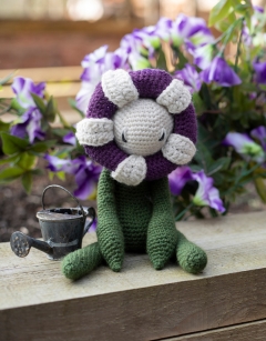 Petunia