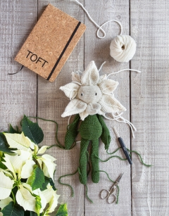 Poinsettia