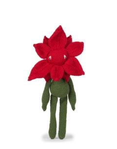 Poinsettia