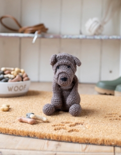 Byron the Shar Pei