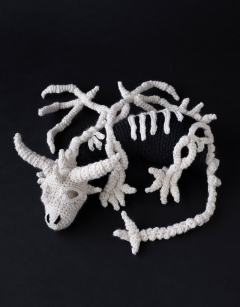 Fantasma the Dragon Skeleton