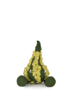 Striped Warty Gourd