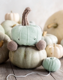 Crown Prince Pumpkin