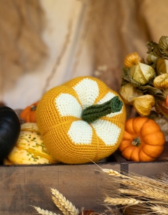 Daisy Gourd