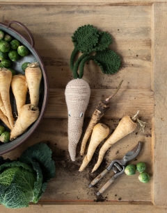Vegetables: Alexandra's Garden Book by Kerry Lord 