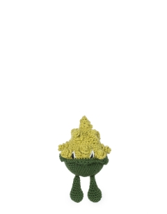 Romanesco Cauliflower