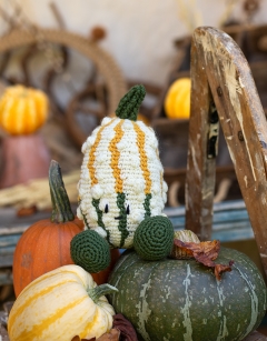 Short Gourd