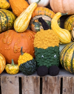 Tall Gourd