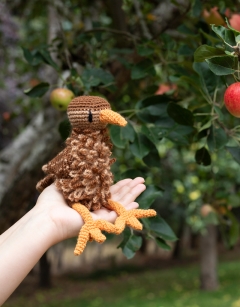 Jenny the Wren