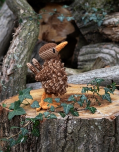 Jenny the Wren