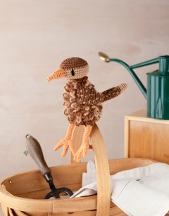 Jenny the Wren