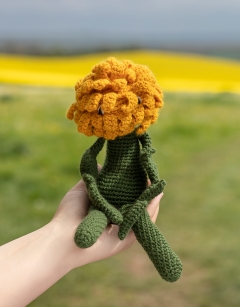 Dandelion