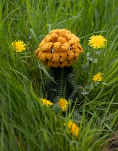 Dandelion