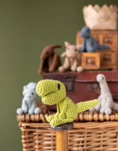 Dinosaur Discovery Box