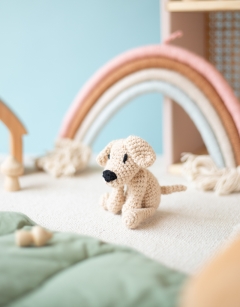 Pets Discovery Box