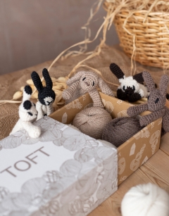 Warren Discovery Box