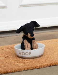 Felicity the Doberman