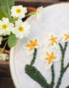 Pure Linen Fabric