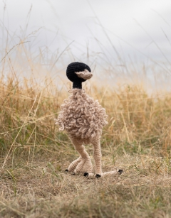 Taylor the Emu