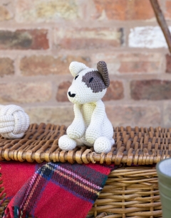 Tyrone the English Bull Terrier