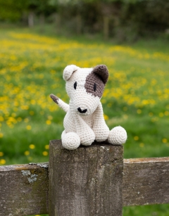 Tyrone the English Bull Terrier
