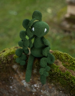 Fishbone Cactus